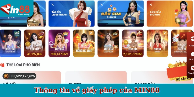 Thông tin về giấy phép của MIN88